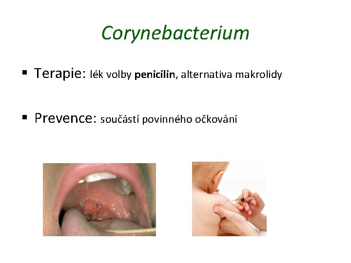 Corynebacterium § Terapie: lék volby penicilin, alternativa makrolidy § Prevence: součástí povinného očkování 
