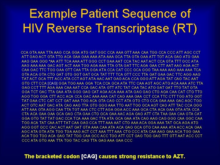 Example Patient Sequence of HIV Reverse Transcriptase (RT) CCA GTA AAA TTA AAG CCA