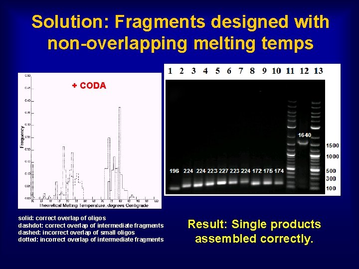 Solution: Fragments designed with non-overlapping melting temps + CODA solid: correct overlap of oligos