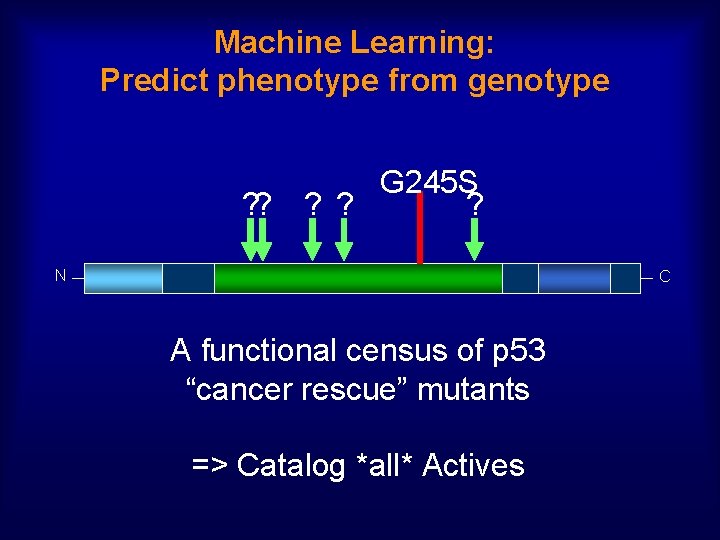 Machine Learning: Predict phenotype from genotype G 245 S ? ? ? N C