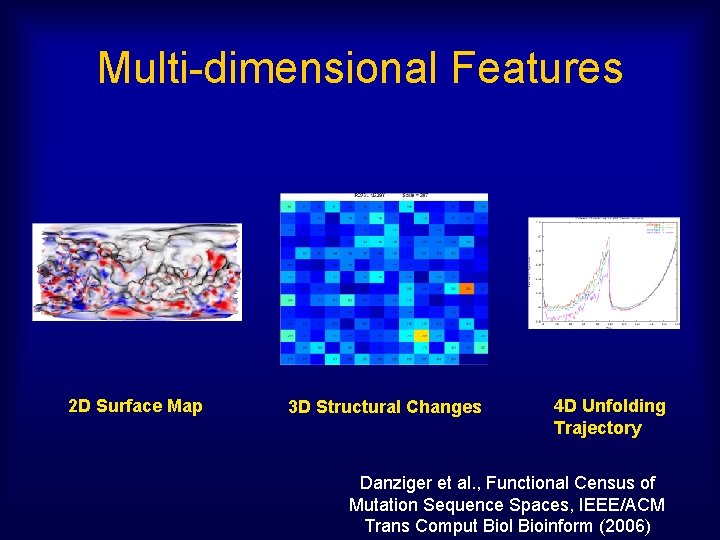 Multi-dimensional Features 2 D Surface Map 3 D Structural Changes 4 D Unfolding Trajectory