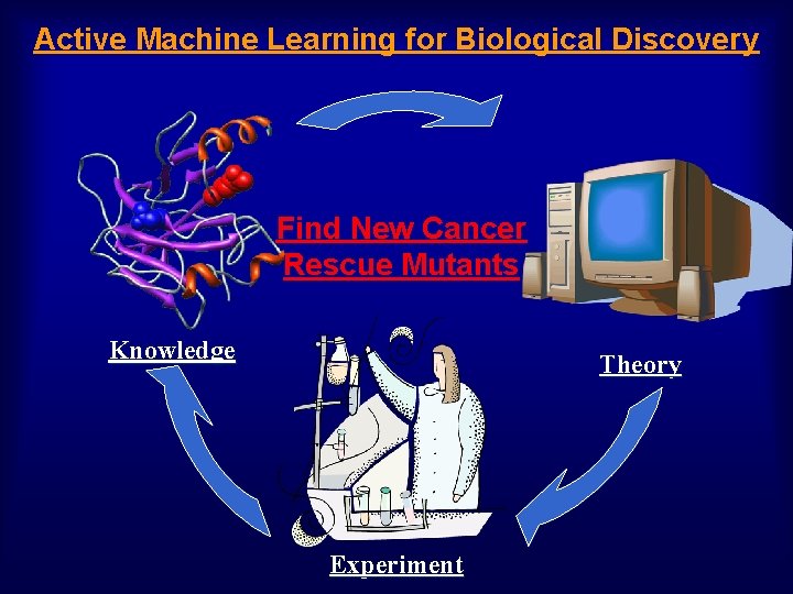 Active Machine Learning for Biological Discovery Find New Cancer Rescue Mutants Knowledge Theory Experiment