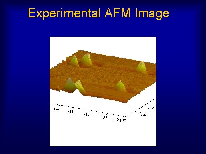 Experimental AFM Image 