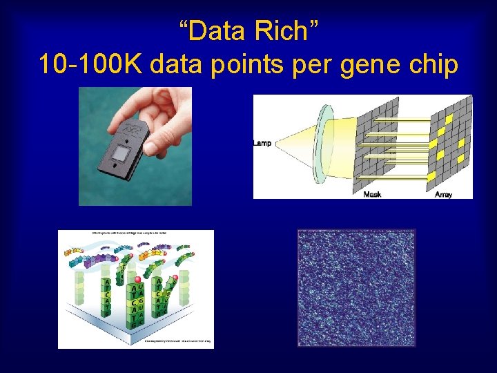 “Data Rich” 10 -100 K data points per gene chip 