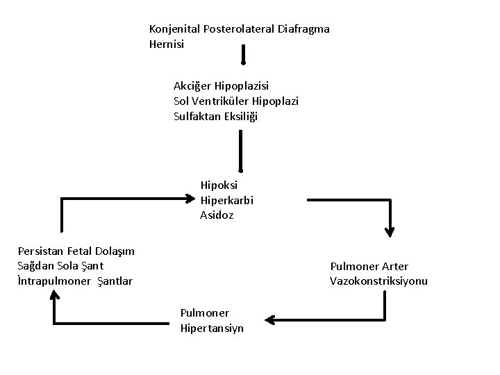 Konjenital Posterolateral Diafragma Hernisi Akciğer Hipoplazisi Sol Ventriküler Hipoplazi Sulfaktan Eksiliği Hipoksi Hiperkarbi Asidoz
