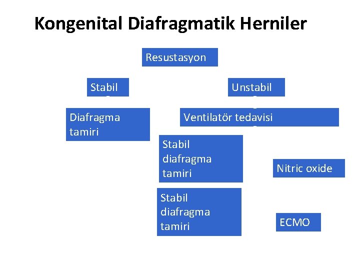 Kongenital Diafragmatik Herniler Resustasyon Stabil Unstabil Diafragma tamiri Ventilatör tedavisi Stabil diafragma tamiri Nitric