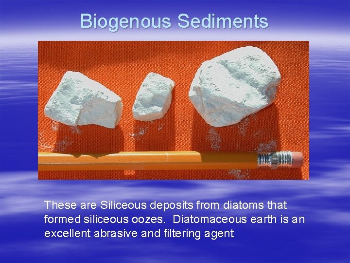 Biogenous Sediments These are Siliceous deposits from diatoms that formed siliceous oozes. Diatomaceous earth