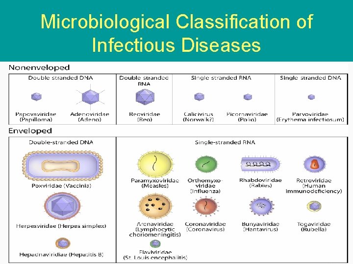 Microbiological Classification of Infectious Diseases 