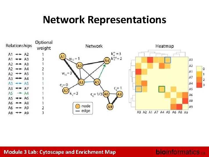 Network Representations Module 3 Lab: Cytoscape and Enrichment Map bioinformatics. ca 