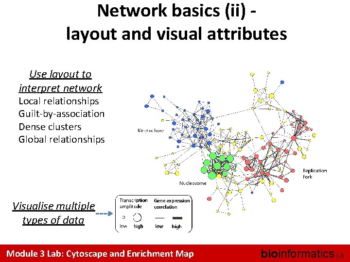 Network basics (ii) layout and visual attributes Use layout to interpret network Local relationships