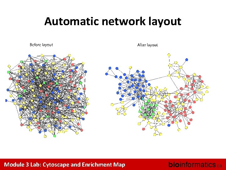 Automatic network layout Module 3 Lab: Cytoscape and Enrichment Map bioinformatics. ca 
