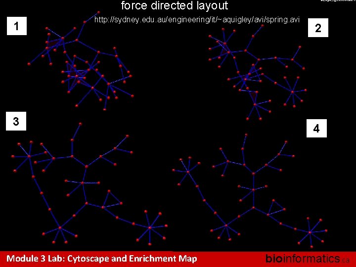 force directed layout 1 http: //sydney. edu. au/engineering/it/~aquigley/avi/spring. avi 3 Module 3 Lab: Cytoscape