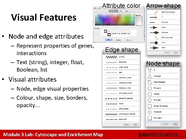 Attribute color Arrow shape Visual Features • Node and edge attributes – Represent properties