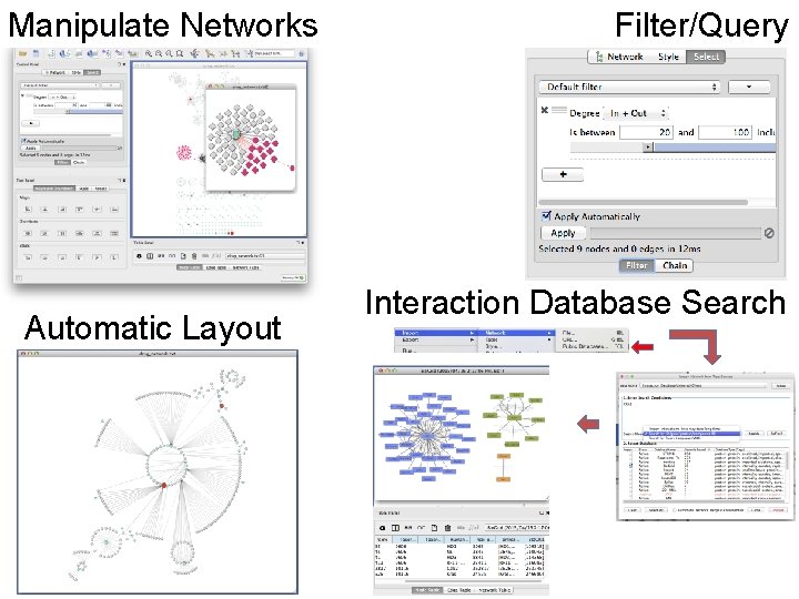 Manipulate Networks Automatic Layout Filter/Query Interaction Database Search 