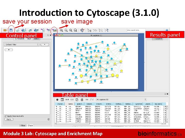 Introduction to Cytoscape (3. 1. 0) save your session save image Results panel Control