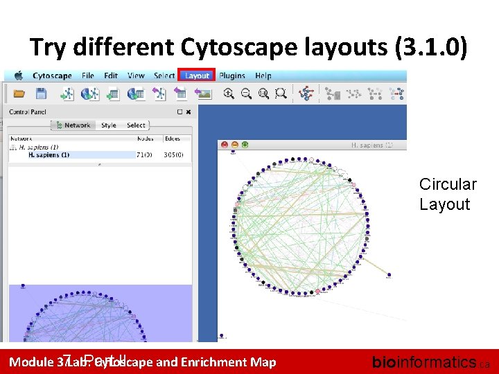 Try different Cytoscape layouts (3. 1. 0) Circular Layout Module 37 Lab: Cytoscape and