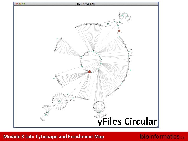 y. Files Circular Module 3 Lab: Cytoscape and Enrichment Map bioinformatics. ca 