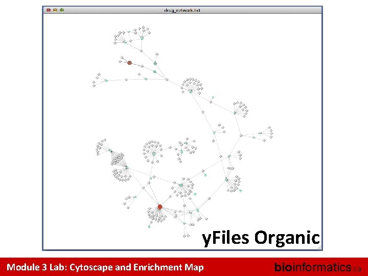 y. Files Organic Module 3 Lab: Cytoscape and Enrichment Map bioinformatics. ca 