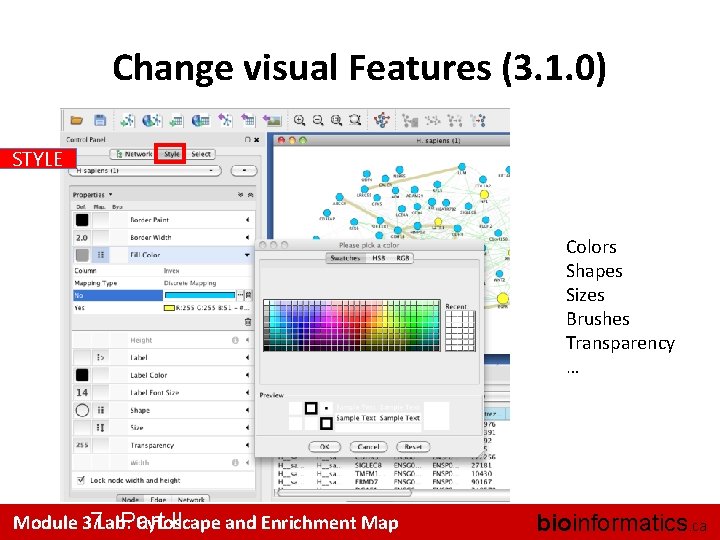 Change visual Features (3. 1. 0) STYLE Colors Shapes Sizes Brushes Transparency … Module