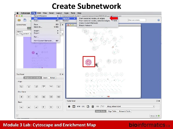 Create Subnetwork Module 3 Lab: Cytoscape and Enrichment Map bioinformatics. ca 