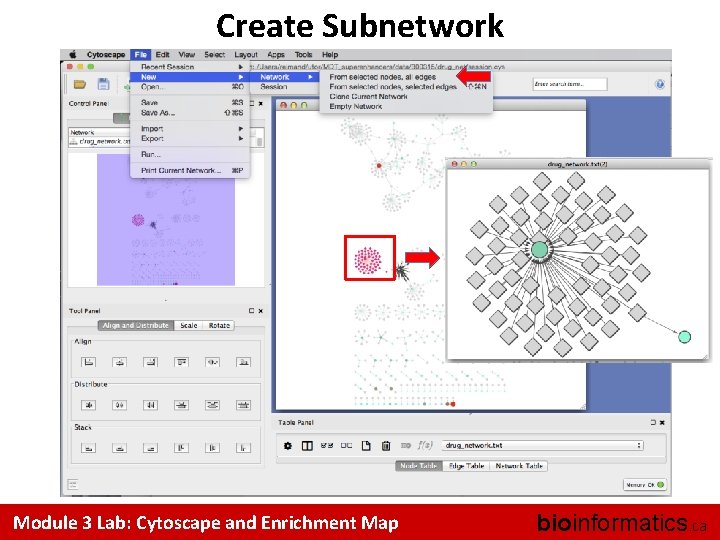 Create Subnetwork Module 3 Lab: Cytoscape and Enrichment Map bioinformatics. ca 