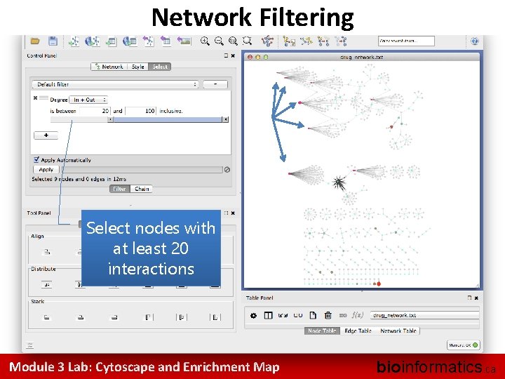 Network Filtering Select nodes with at least 20 interactions Module 3 Lab: Cytoscape and