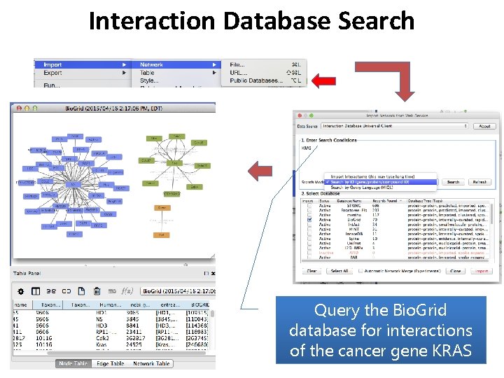 Interaction Database Search Query the Bio. Grid database for interactions of the cancer gene