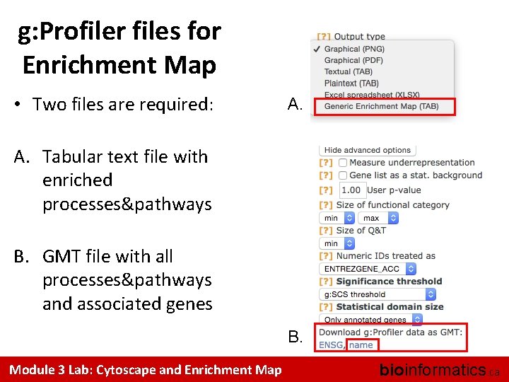 g: Profiler files for Enrichment Map • Two files are required: A. Tabular text