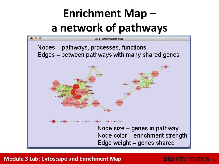 Enrichment Map – a network of pathways Nodes – pathways, processes, functions Edges –