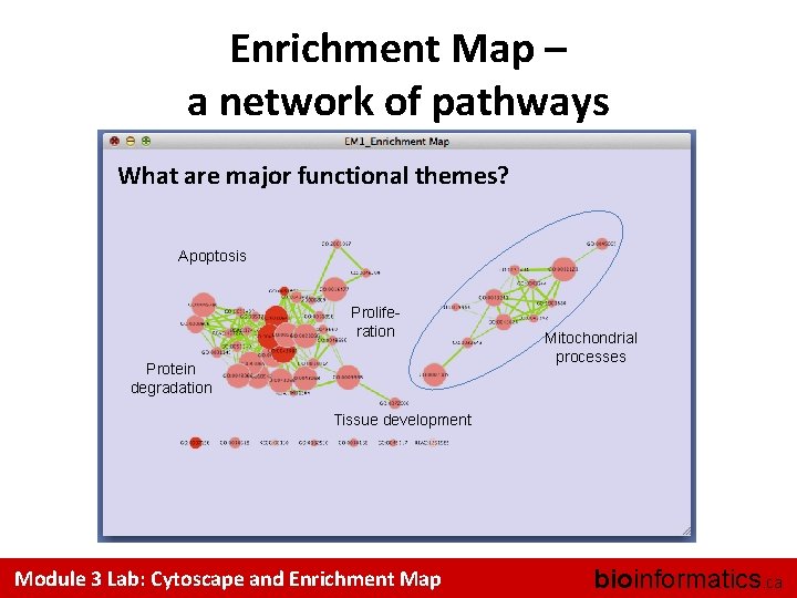 Enrichment Map – a network of pathways What are major functional themes? Apoptosis Proliferation