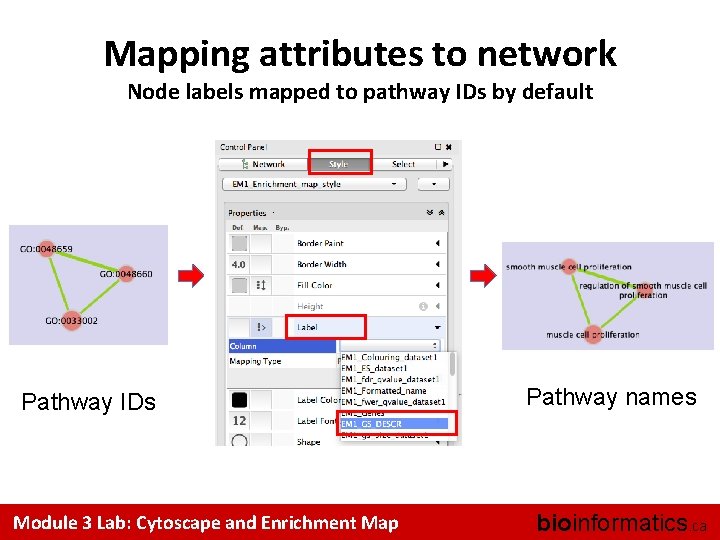 Mapping attributes to network Node labels mapped to pathway IDs by default Pathway IDs