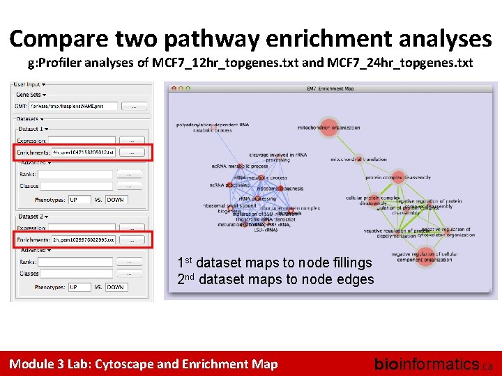 Compare two pathway enrichment analyses g: Profiler analyses of MCF 7_12 hr_topgenes. txt and