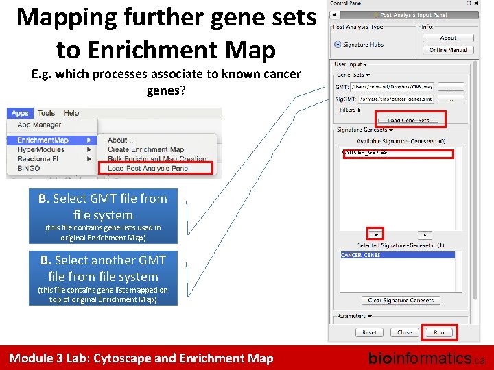 Mapping further gene sets to Enrichment Map E. g. which processes associate to known