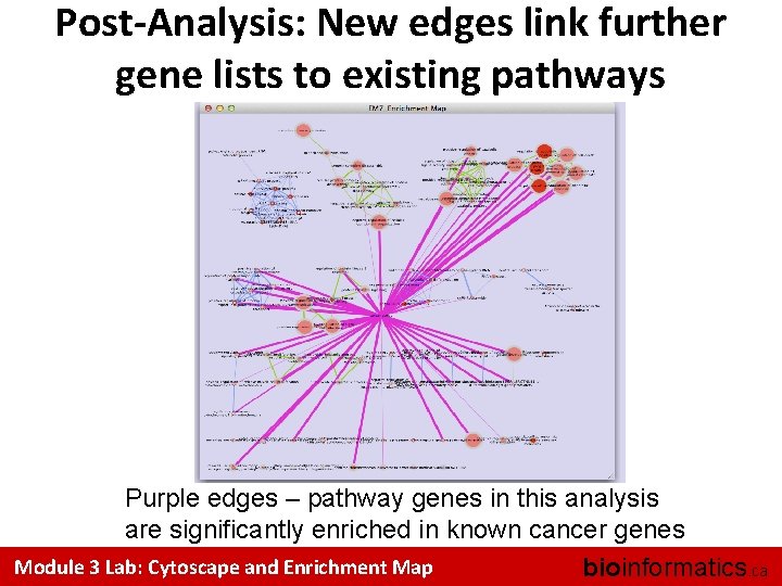 Post-Analysis: New edges link further gene lists to existing pathways Purple edges – pathway