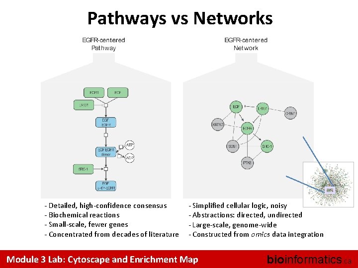 Pathways vs Networks - Detailed, high-confidence consensus - Biochemical reactions - Small-scale, fewer genes