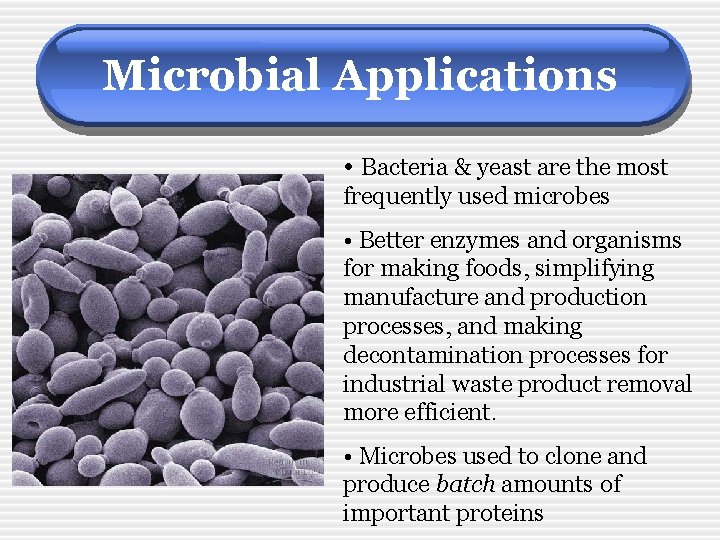 Microbial Applications • Bacteria & yeast are the most frequently used microbes • Better