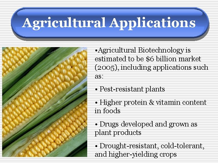 Agricultural Applications • Agricultural Biotechnology is estimated to be $6 billion market (2005), including