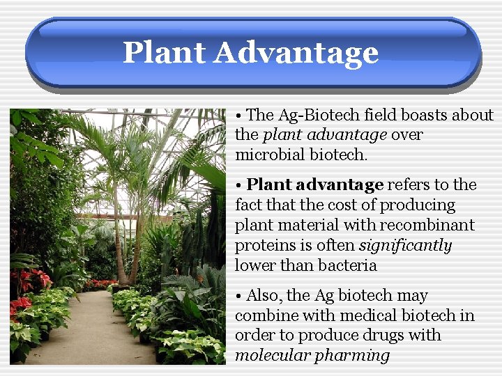 Plant Advantage • The Ag-Biotech field boasts about the plant advantage over microbial biotech.