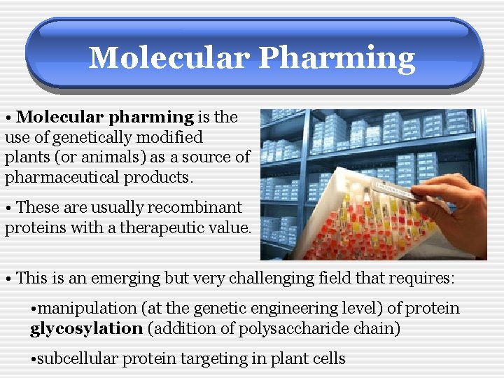 Molecular Pharming • Molecular pharming is the use of genetically modified plants (or animals)