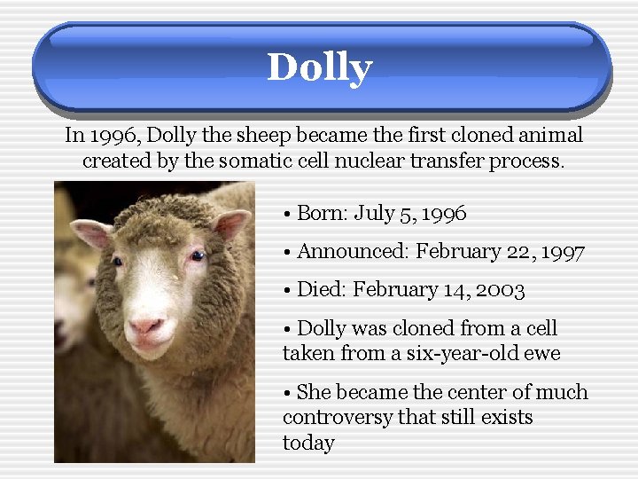 Dolly In 1996, Dolly the sheep became the first cloned animal created by the