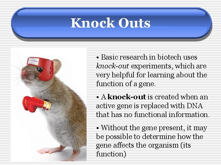 Knock Outs • Basic research in biotech uses knock-out experiments, which are very helpful