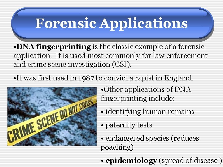 Forensic Applications • DNA fingerprinting is the classic example of a forensic application. It