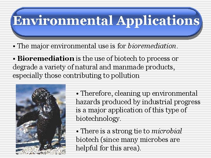 Environmental Applications • The major environmental use is for bioremediation. • Bioremediation is the