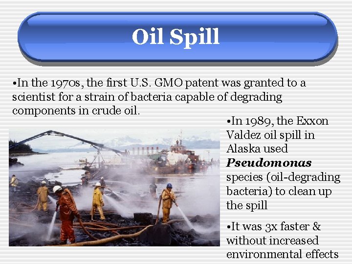 Oil Spill • In the 1970 s, the first U. S. GMO patent was