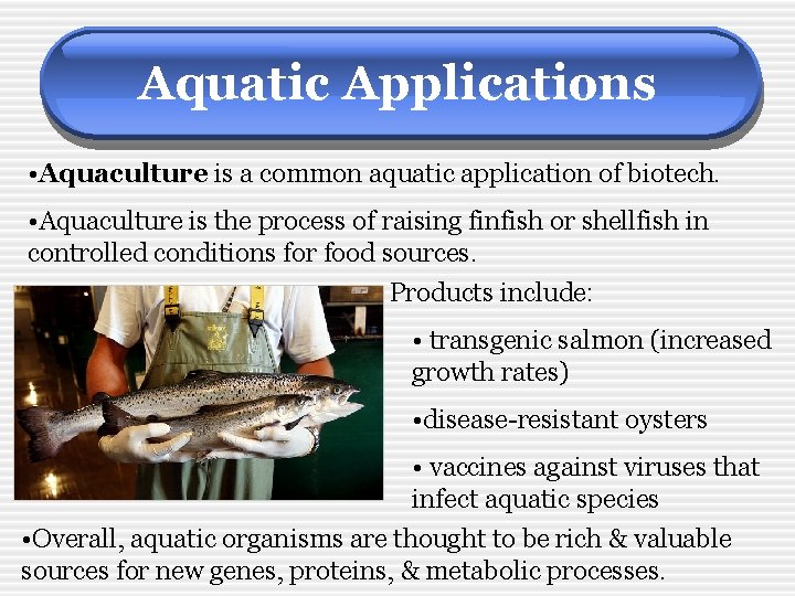 Aquatic Applications • Aquaculture is a common aquatic application of biotech. • Aquaculture is