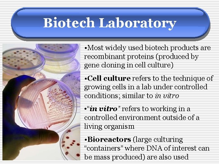 Biotech Laboratory • Most widely used biotech products are recombinant proteins (produced by gene