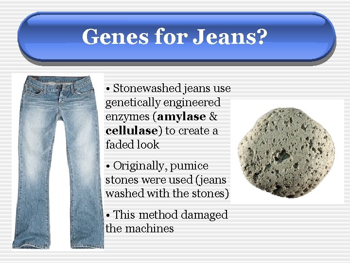 Genes for Jeans? • Stonewashed jeans use genetically engineered enzymes (amylase & cellulase) to