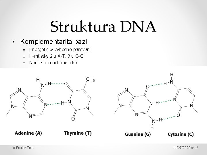 Struktura DNA • Komplementarita bazí o Energeticky výhodné párování o H-můstky 2 u A-T,