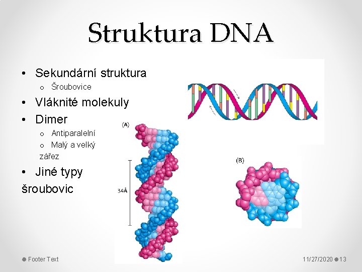 Struktura DNA • Sekundární struktura o Šroubovice • Vláknité molekuly • Dimer o Antiparalelní