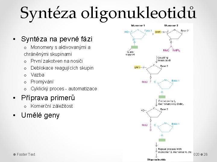 Syntéza oligonukleotidů • Syntéza na pevné fázi o Monomery s aktivovanými a chráněnými skupinami